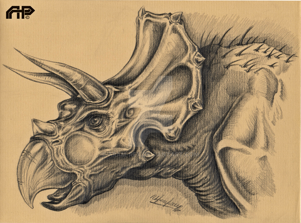 triceratops_horridus_by_aram_rex-d9a6m3q.png