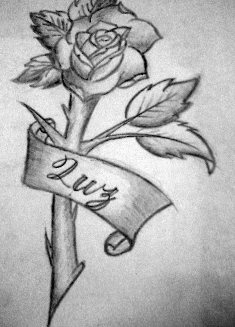 Rose Love Drawing